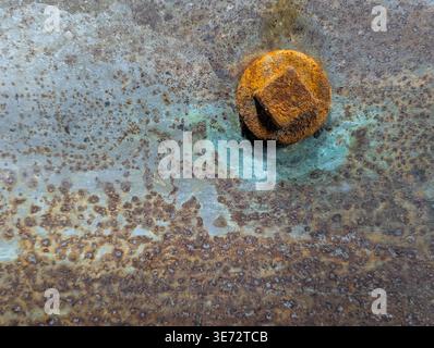 Rusted Bolt On Mottled Metal Surface, Intimate Closeup Revealing Orange Corrosion Halo, Turquoise Patina, Flaking Paint And Granular Texture Stock Photo
