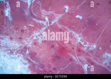 Aerial view of a surreal landscape, where crimson waters meet delicate white patterns, creating an otherworldly mosaic of color and texture, Salt Lake Stock Photo