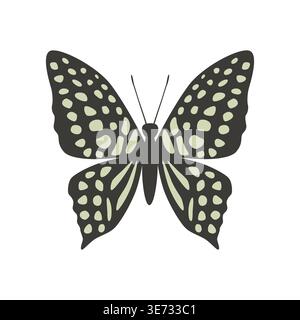 Vector butterfly graphium agamemnon. Vector illustration isolated on white background. Stock Vector