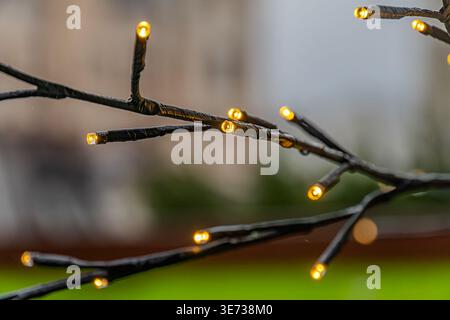 Close-up shot of a tree branch decorated with small yellow lights in an outdoor setting, creating a warm and festive mood Blurred greenery visible in Stock Photo