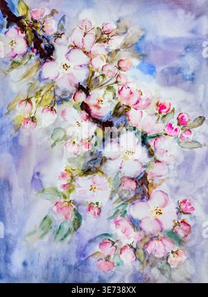 Watercolor by Heidemarie Mayer, blossom branch, apple blossoms, splendor of blossoms Stock Photo