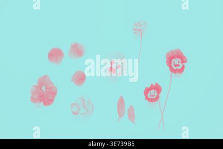 Digital processed flat lay of pink pansy flowers, seashells, petals and leaves on turquoise background, soft pink tones, top view, copy space. Stock Photo