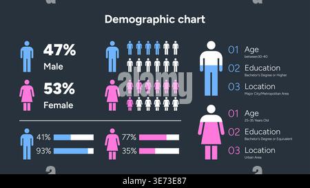 Demographic chart infographic showing gender and age statistics Vector Illustration Stock Vector