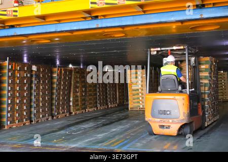 A loader transports boxes of pineapples from the ship's hold on pallets Stock Photo