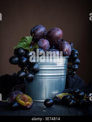 This image showcases a rustic still life arrangement centered around a galvanized metal bucket filled with a bountiful harvest of deep purple plums an Stock Photo