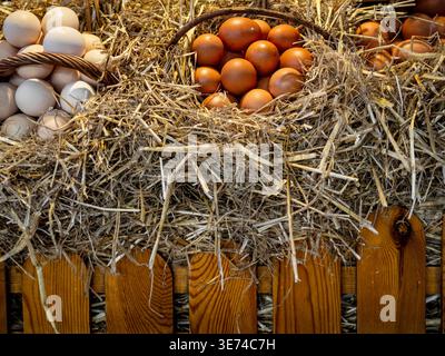 Fresh Farm Eggs in Rustic Wicker Baskets Nestled in Golden Straw at Traditional Market Display Stock Photo