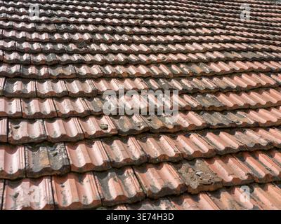 Close-up view of an old, weathered tiled roof showing signs of age with dark stains and uneven textures on brown ceramic tiles under daylight. The sce Stock Photo