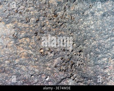 A highly detailed close-up macro shot of a rough, weathered stone or aged concrete surface, featuring uneven textures, pits, and dark mineral spots. T Stock Photo