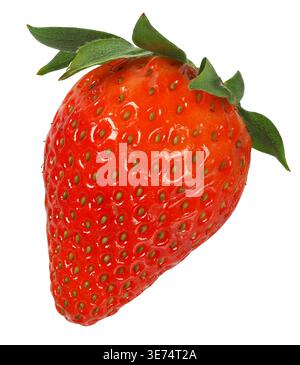 Close-up of a fresh strawberry isolated on white background Stock Photo