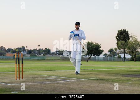 Male batsman walking on mown pitch wearing white kit and pads holding wooden bat near stumps. Batter, cricket, field, outdoors, evening, serene, subur Stock Photo