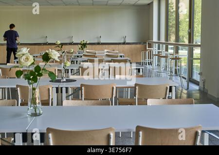 A spacious, modern cafeteria or dining hall interior featuring rows of white rectangular tables paired with light wooden chairs. Clear glass vases Stock Photo