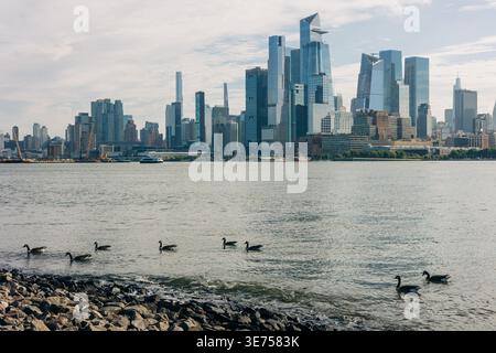 Ducks swim in the river near a city skyline on a clear day with a few clouds in the sky Stock Photo