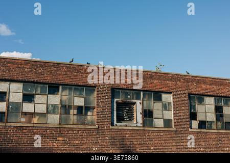 Rusty building with broken windows and birds on the roof during a clear day in an urban area Stock Photo