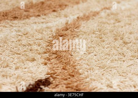 Textured rug with a pattern of brown and cream fibers. Design features a mix of shaggy and smooth textures, creating a cozy appearance Stock Photo