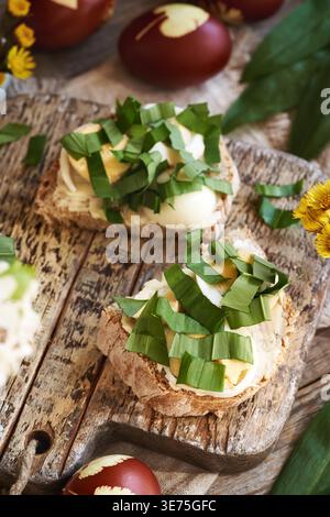 Slices of bread with leftover Easter eggs and fresh wild garlic leaves collected in spring Stock Photo