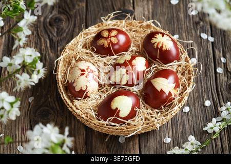 Handmade Easter eggs dyed with onion peels in a basket with cherry blossoms Stock Photo
