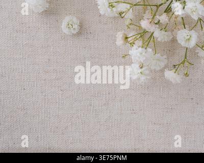 baby’s breath flowers on natural linen fabric background with copy space, soft neutral floral texture, delicate gypsophila border for wedding, baby Stock Photo