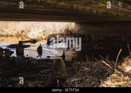 the remains of the old wooden bridge over the river beneath the new concrete bridge Stock Photo
