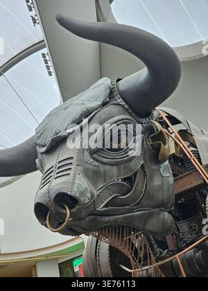 Close up on Ozzy the Bull in New Street Station, Birmingham. Ozzy is wearing a Peaky Blinders flat cap to promote the movie The Immortal Man Stock Photo