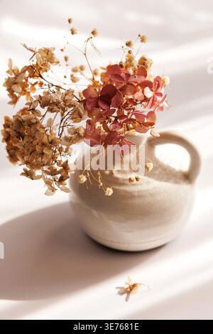 Dried Hydrangea Close Up with Warm Light and Soft Shadow Stock Photo