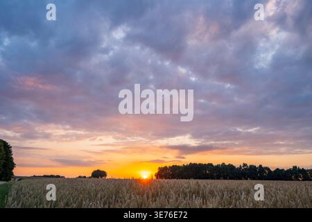 Romantic sunset over fields and meadows with colorful clouds in early summer, Germany, Bavaria, Upper Palatinate Stock Photo