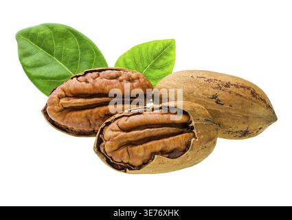 Three cracked pecan nuts with green leaves isolated on white Stock Photo