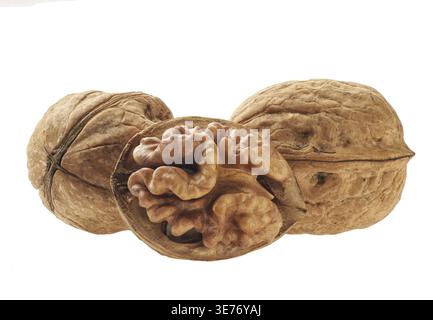 Three walnuts isolated on white background Stock Photo