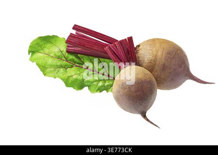 Red beetroot with herbage green leaves isolated on white background. Organic Beetroot Stock Photo