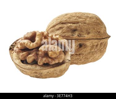 Two walnuts isolated on white background Stock Photo