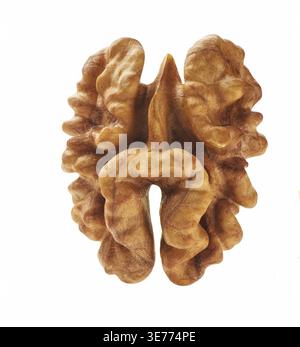 Single half of walnut, isolated on white background, macro shot Stock Photo