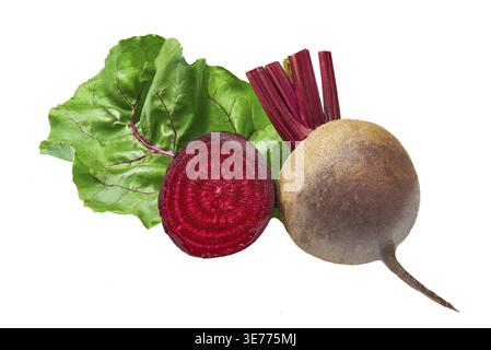 Red beetroot with herbage green leaves isolated on white background. Organic Beetroot Stock Photo