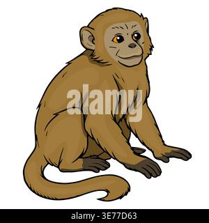 Cute cartoon monkey illustration, isolated vector animal Stock Vector