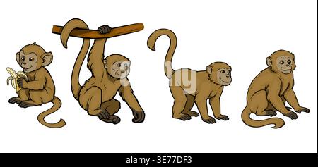 Set of four cute cartoon monkeys in different poses, vector illustration Stock Vector