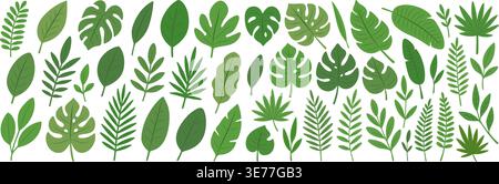 Large collection of tropical and exotic leaves. Botanical vector design, decoration, and tropical-themed projects Stock Vector