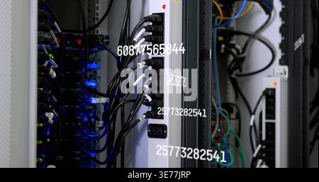 Vertical PDU showing black AC cords, numeric IDs, blue-LED servers and multicolor cables in rack Stock Photo