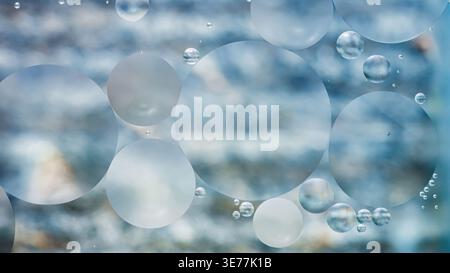 Oil droplets suspended in water create translucent spheres and bubbles against a soft, blurred blue-gray background, abstract macro pattern. Photograp Stock Photo