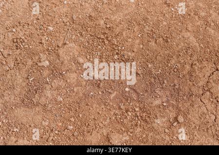 Dirt soil texture showing dry reddish brown earth ground with fine sand and small stones for natural backgrounds Stock Photo