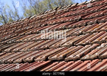 Close-up of old terracotta roof tiles with weathered texture, moss and patina, arranged in overlapping rows under natural daylight. 2026 Stock Photo