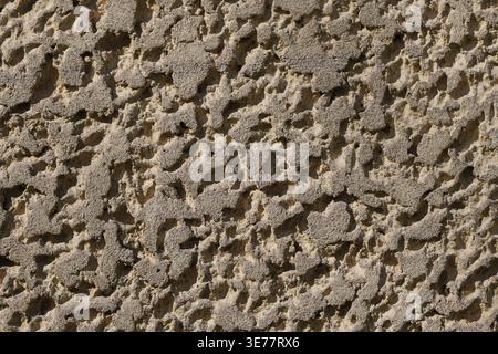 Close-up of rough exterior wall plaster with highly textured surface of small bumps and pits in neutral beige and grey tones under strong side. 2026 Stock Photo