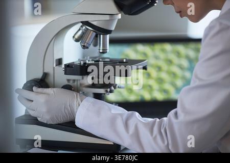 Young adult scientist adjusting microscope and examining specimen in laboratory, supporting medical research and diagnostics. Ideal for healthcare innovation, biotech, testing campaigns Stock Photo