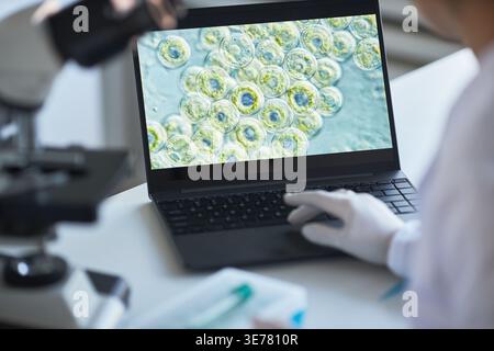 Close up of researcher analyzing microscopic cell images on laptop in laboratory, supporting biotechnology study and medical innovation. Ideal for healthcare research marketing Stock Photo