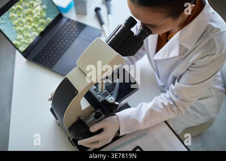 Young adult woman scientist examining sample through microscope, analyzing lab data on laptop for medical research and diagnostics. Useful for healthcare innovation, biotech marketing, close up Stock Photo