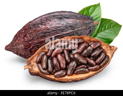 Cocoa pods with half a cocoa pod filled with cocoa beans isolated on white background. Clipping path Stock Photo