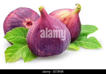 Fresh ripe blue figs isolated on white background. Natural organic fruit ideal for healthy food and nutrition concepts. Clipping path Stock Photo