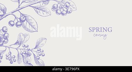 Hand-drawn illustration of spring foliage with berries and leaves in purple tones, featuring the text SPRING coming on a light background Stock Vector