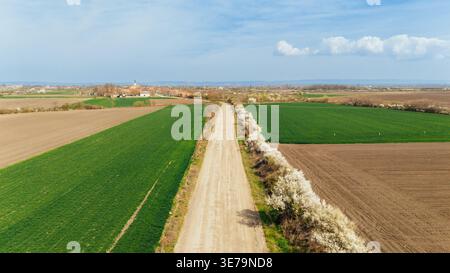 Aerial view of a long straight dirt road cuts through patchwork fields of vibrant green and earthy brown, leading towards the distant town, Sremska Mi Stock Photo