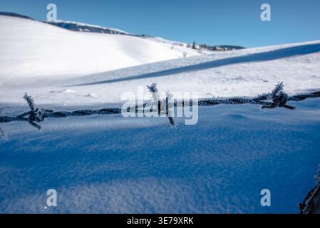 Close up of frozen barbed wire with frost crystals against snowy landscape and blue sky. Winter detail suitable for nature, cold weather and outdoor t Stock Photo