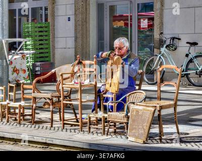 Traditional craftsman repairing old chairs which have woven rush seating - Chatellerault, Vienne (86), France. Stock Photo