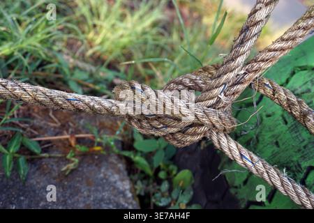A strong rope knot is tied to a green used tire in an open area. The rope has a rough texture with clearly visible fibers. Stock Photo