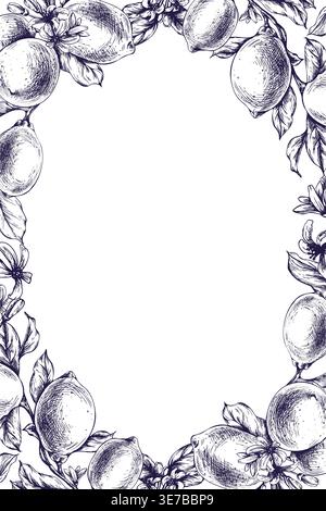 Hand drawn ink illustration of lemon frame with fruit, flower and leaf. Decorative border sketch for wedding invitation card. Botanical vintage art Stock Vector